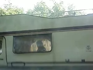 Համակարգը զորավարժու ...