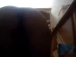 Ոստիկանության էմո գե ...