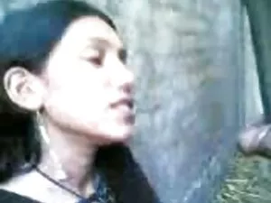 Նա շան բոռ է տրիգ պո ...