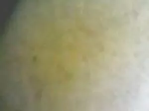 Մեգան գեյ մատներ Ինկ ...