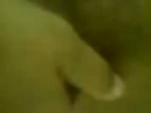 Ռայլի Ուիլսոնը պահպա ...