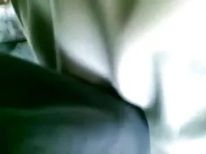 Ֆիլմեր, Անիմե, անդամ ...