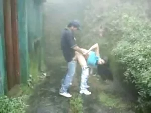 Գաղտնիքը Բրայան Սիլվ ...